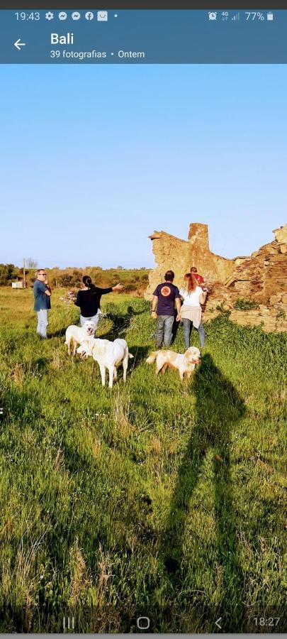Вілла Monte Da Figueira Amareleja Екстер'єр фото