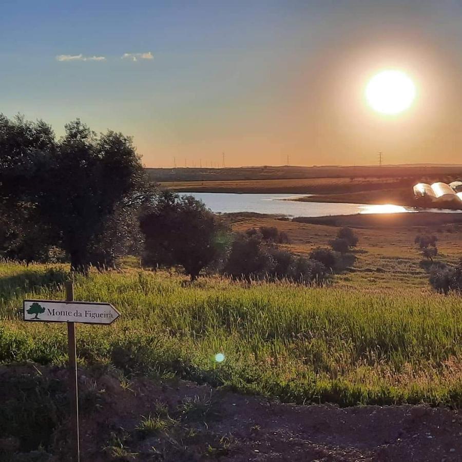 Вілла Monte Da Figueira Amareleja Екстер'єр фото