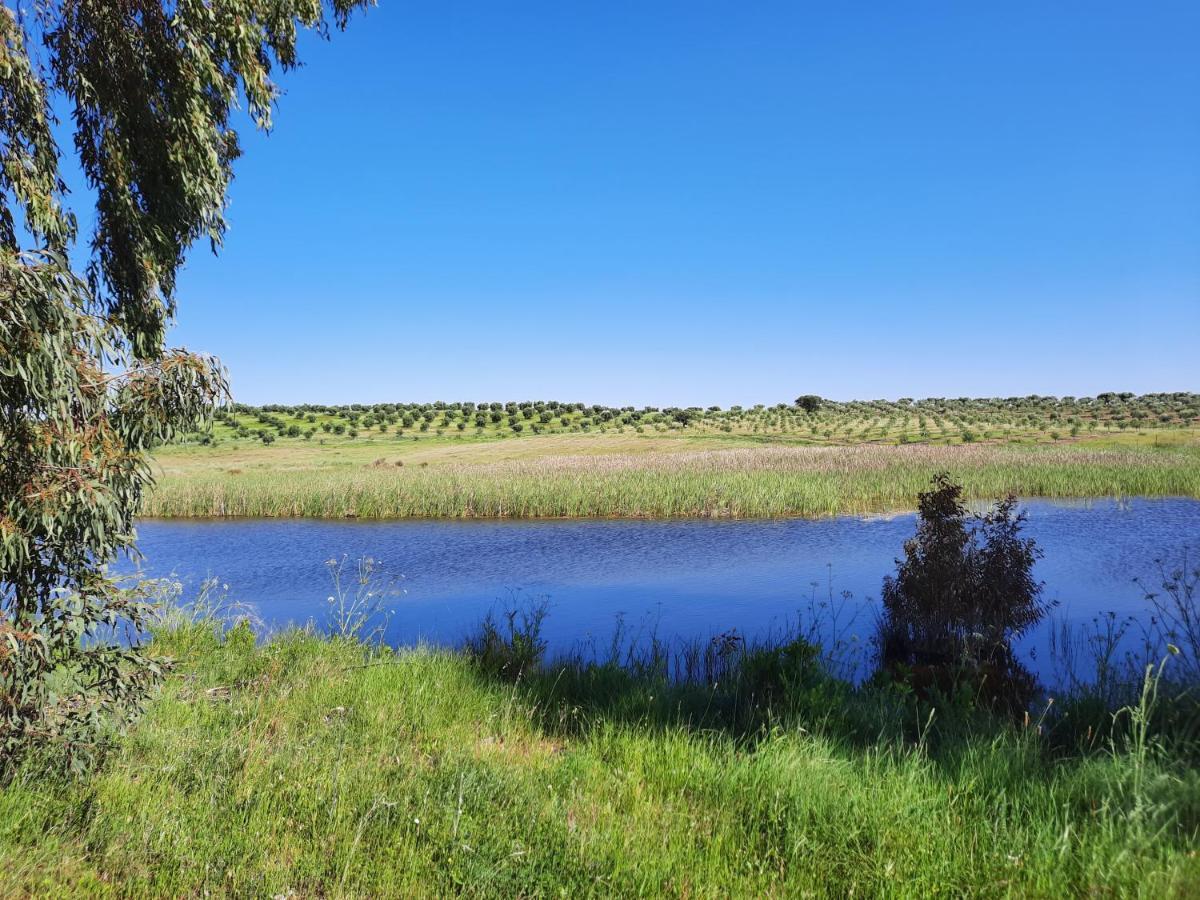 Вілла Monte Da Figueira Amareleja Екстер'єр фото